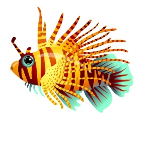 Sun Stripe Lionfish